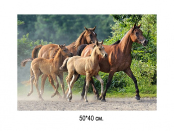 Алмазная мозаика арт. GLE76011 Лошади 40*50 полная выкладка на подрамнике
