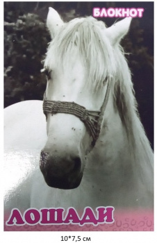 Блокнот Лошади 10х7,5 см №2 розовый 16 стр.